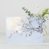 Winter Wonderland by Uname_ (Standing Front)