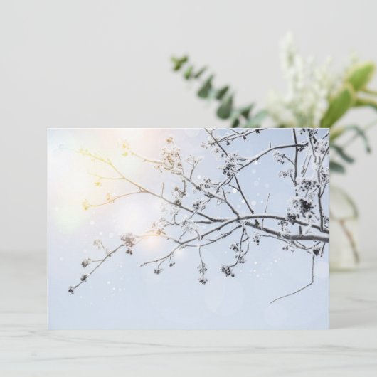 Winter Wonderland by Uname_ (Standing Front)