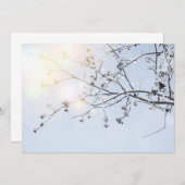 Winter Wonderland by Uname_ (Front/Back)