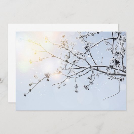 Winter Wonderland by Uname_ (Front/Back)