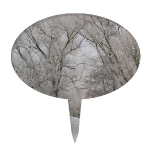 WINTER WONDERLAND CAKE TOPPER