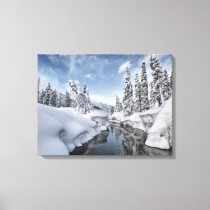Winter Wonderland Canvas Print