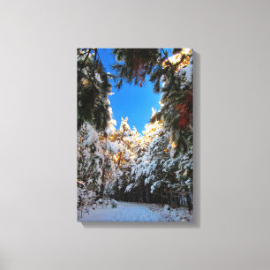Winter Wonderland Canvas Print