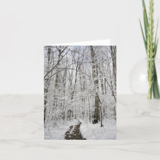 Winter Wonderland Card