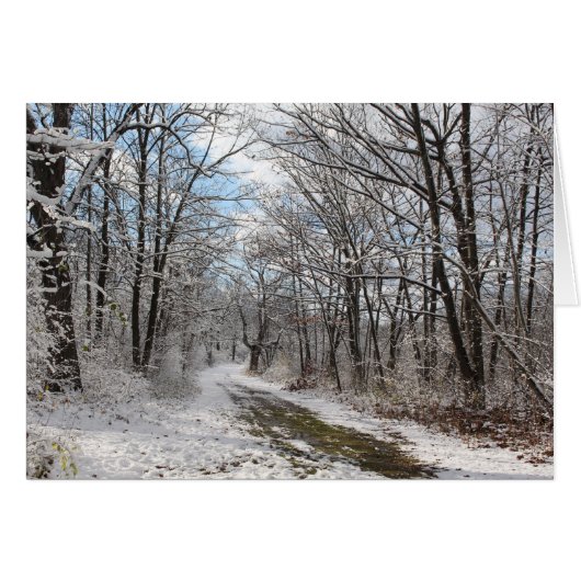 Winter wonderland card (Front Horizontal)