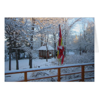 Winter Wonderland Cards