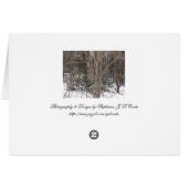 Winter Wonderland Cards (Back Horizontal)