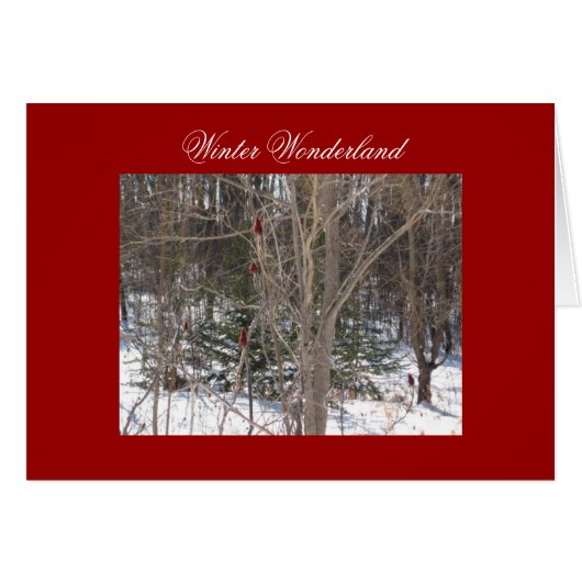Winter Wonderland Cards (Front Horizontal)