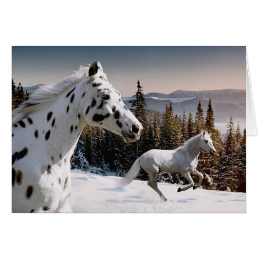 Winter Wonderland Cards (Front Horizontal)