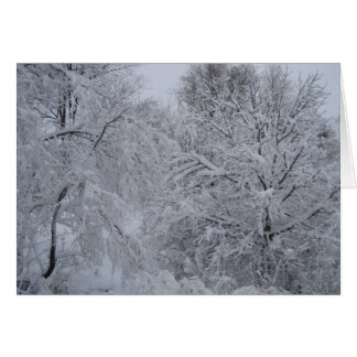 Winter Wonderland Cards