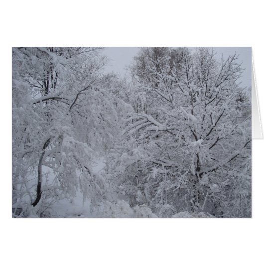 Winter Wonderland Cards (Front Horizontal)