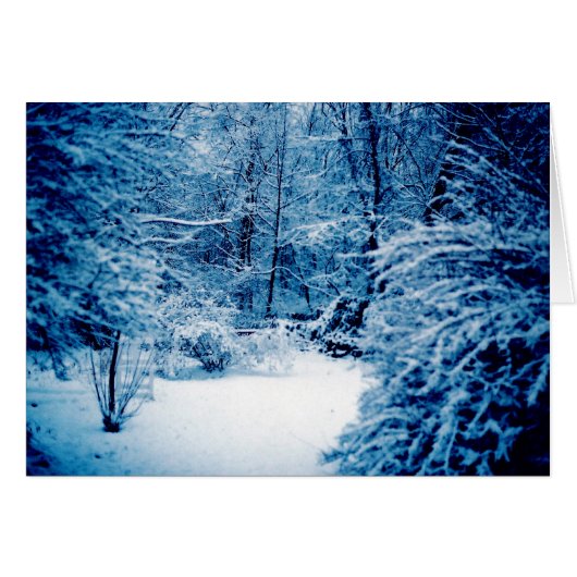 Winter Wonderland Cards (Front Horizontal)