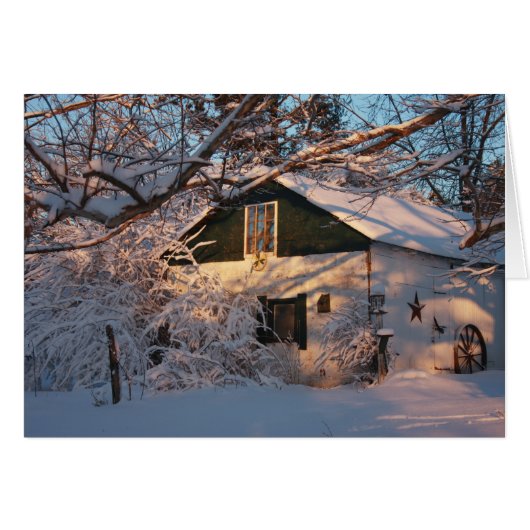 Winter Wonderland Cards (Front Horizontal)
