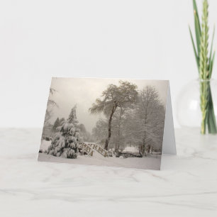 Winter Wonderland Cards Seasons Greetings Cards