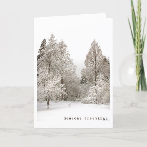 Winter Wonderland Cards Seasons Greetings Cards