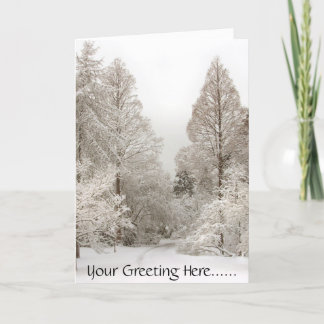 Winter Wonderland Cards Seasons Greetings Cards
