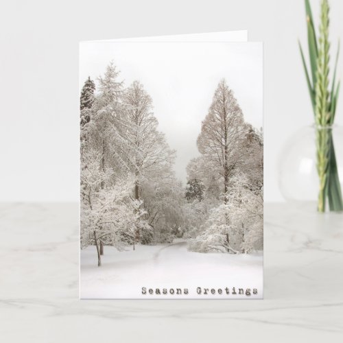 Winter Wonderland Cards Seasons Greetings Cards