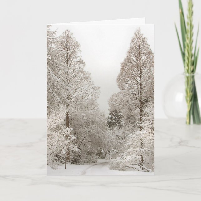 Winter Wonderland Cards Seasons Greetings Cards (Front)