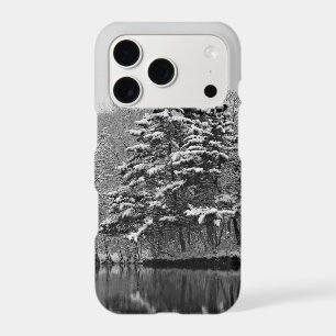 Winter Wonderland  iPhone 17 Pro Case