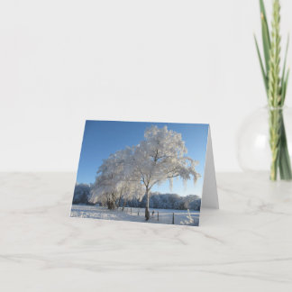 Winter Wonderland: Cheshire Card
