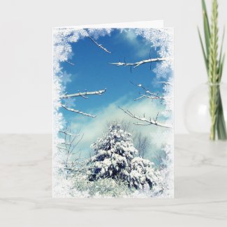 Winter Wonderland Christmas Holiday Card