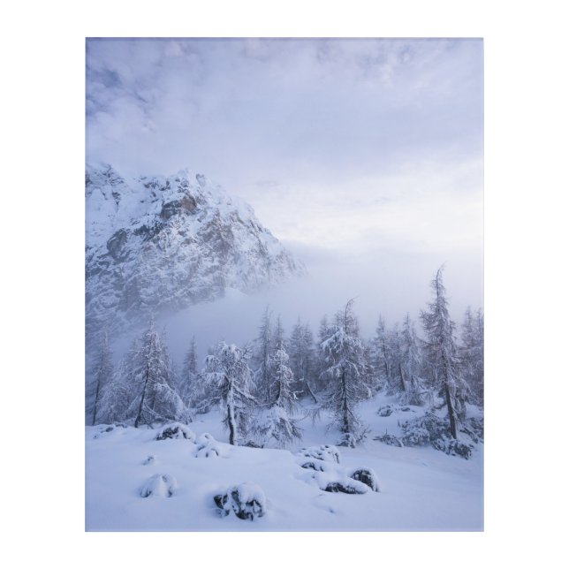 Winter wonderland, fog, spruce forest and mountain acrylic print (Front)