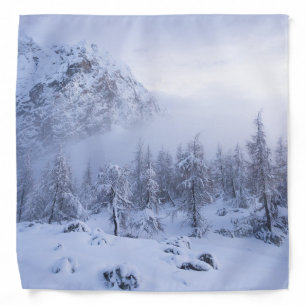 Winter wonderland, fog, spruce forest and mountain bandana