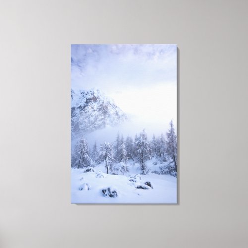 Winter wonderland fog spruce forest and mountain canvas print