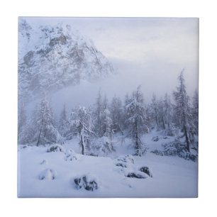 Winter wonderland, fog, spruce forest and mountain ceramic tile