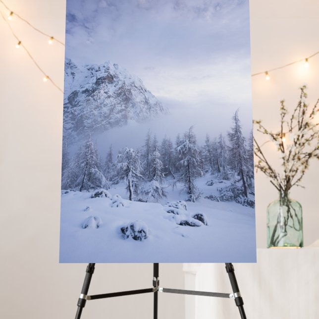 Winter wonderland, fog, spruce forest and mountain foam board (In Situ (Stand))