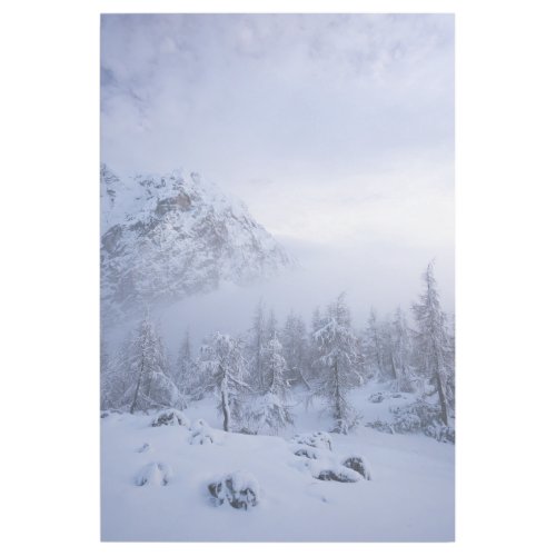 Winter wonderland fog spruce forest and mountain gallery wrap