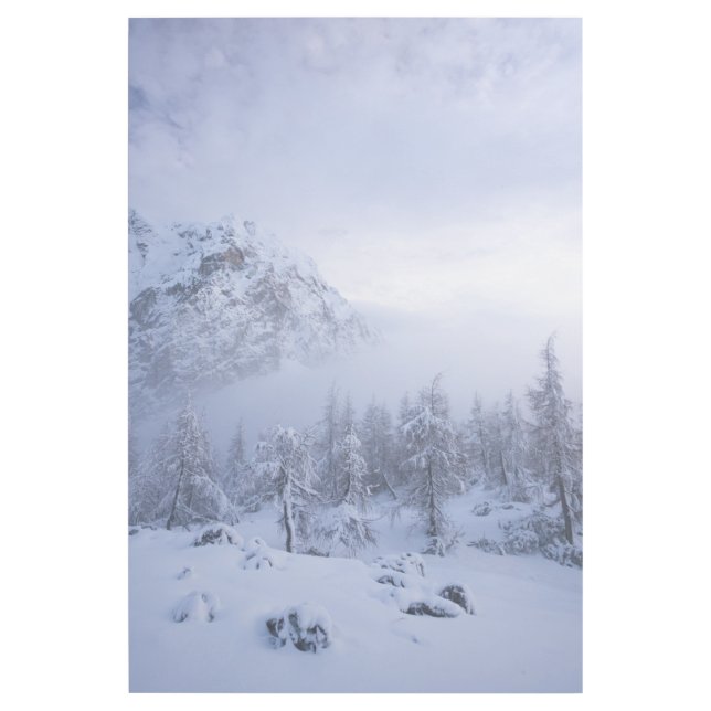Winter wonderland, fog, spruce forest and mountain gallery wrap (Front)