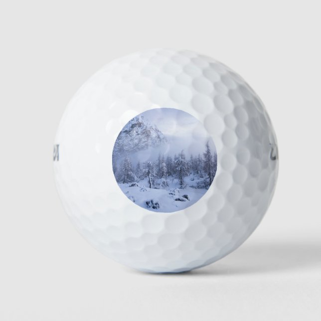 Winter wonderland, fog, spruce forest and mountain golf balls (Front)