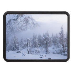 Winter wonderland, fog, spruce forest and mountain hitch cover