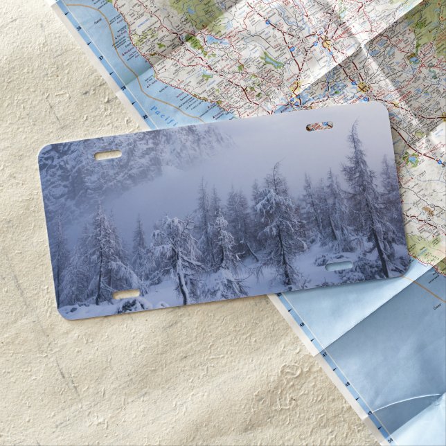 Winter wonderland, fog, spruce forest and mountain license plate (In Situ)