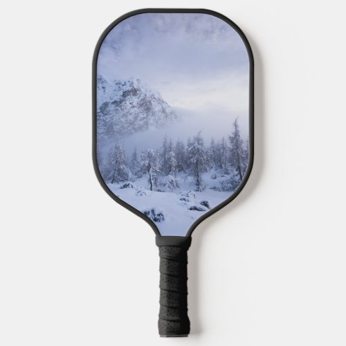 Winter wonderland fog spruce forest and mountain pickleball paddle