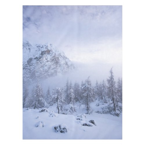 Winter wonderland fog spruce forest and mountain tablecloth