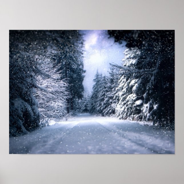 Winter Wonderland Forest Snowfall Poster (Front)