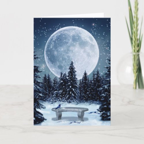 Winter Wonderland Greeting Card