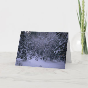 Winter Wonderland Greetings Card
