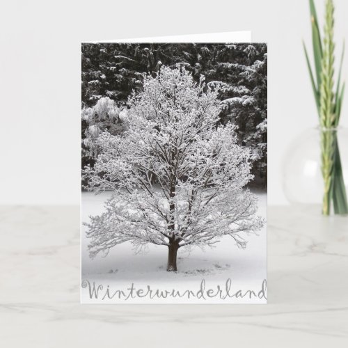Winter wonderland holiday card