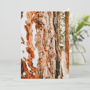 Winter Wonderland in Bend - Oregon  Holiday Card