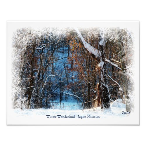 Winter Wonderland in Joplin Missouri Photo Print