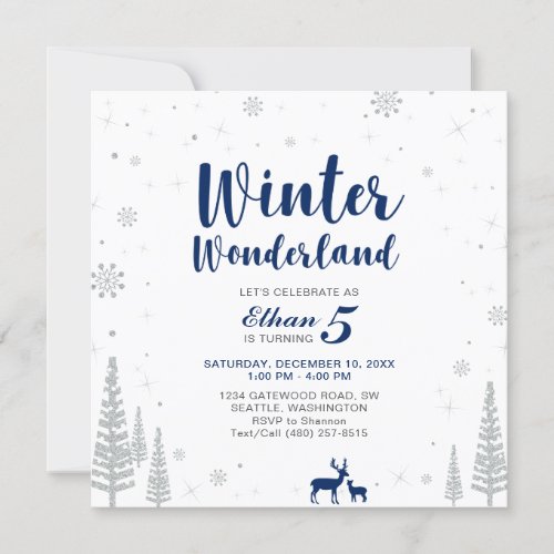 Winter Wonderland _ Kids Birthday Invitation _ Boy