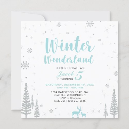 Winter Wonderland _ Kids Birthday Invitation _ Boy