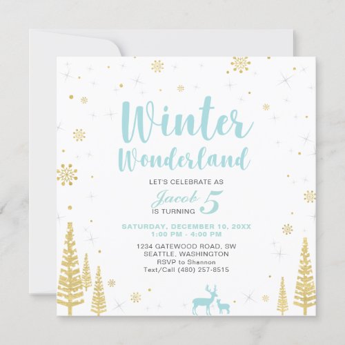 Winter Wonderland _ Kids Birthday Invitation _ Boy