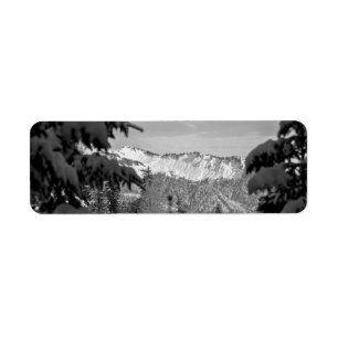 Winter Wonderland Label