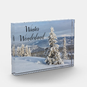 Winter Wonderland light grey snow photo