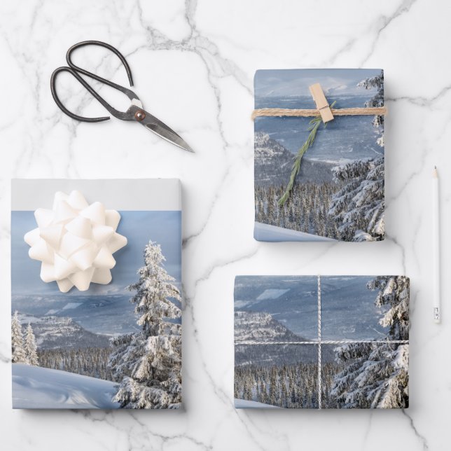 Winter Wonderland light grey snow photo Wrapping Paper Sheets (Front)