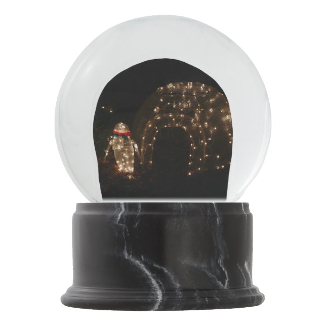 Winter Wonderland Lights Blue and White Holiday Snow Globe (Front)